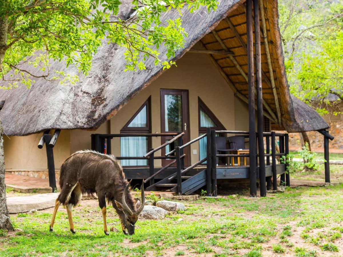 Aha Bongani Mountain Lodge Luphisi Exterior photo
